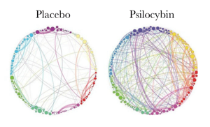 Image from    Petri et al, 2014   , showing the additional connections made between distinct areas of the brain on psilocybin.