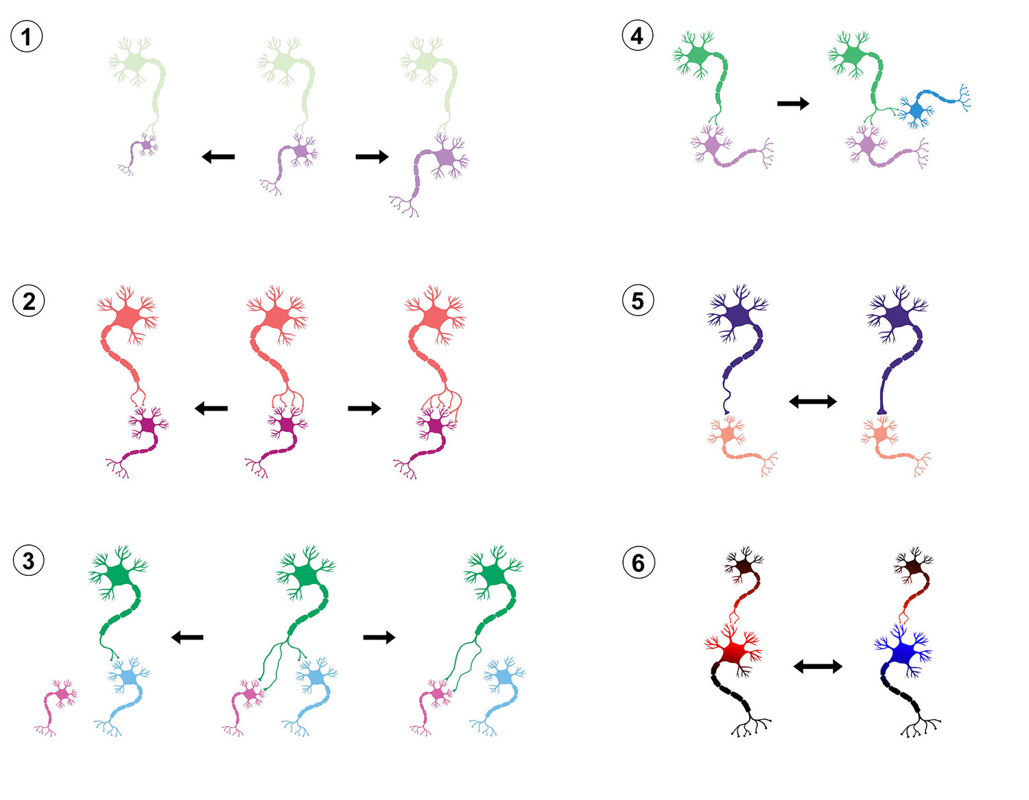 NCombined Plasticity