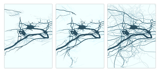 Diagram of synaptic plasticity improvements in the neural network