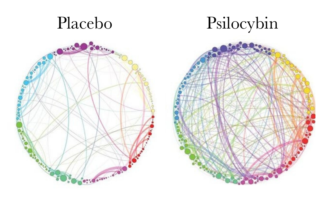 Image from Petri et al, 2014 , showing the additional connections made between distinct areas of the brain on psilocybin.