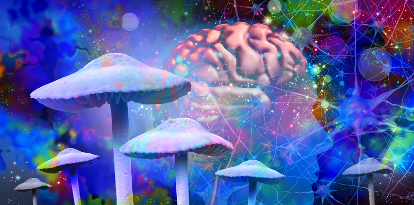 Relaxing Our Beliefs, Rewriting Our Stories: A Cognitive Perspective On Psychedelic Well-Being